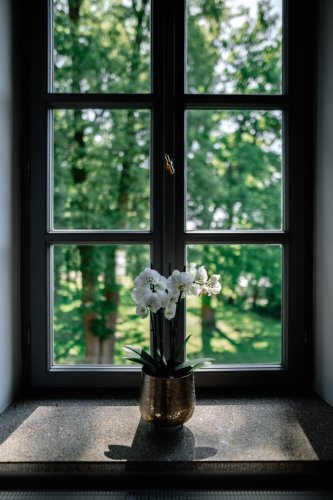 Zamek Kvasetice sifafoto (50)